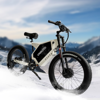60V 2000w Elektro Fahrrad 2000watt 26 Zoll Fett Reifen Elektro Fahrrad