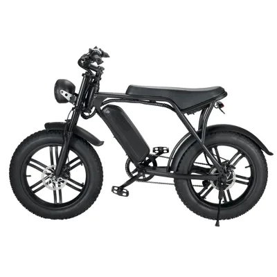 7 Speed All Terrain Off-road EBike 500W 750W 1000W Motor 50 Mph Electric Bike 20inch Dual Disc Brake Snow Beach Fat Tire E Bike