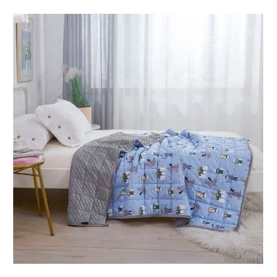 Customize Fleece Weighted Blanket Heated Blanket Adult Minky Weighted Blankets for Calming