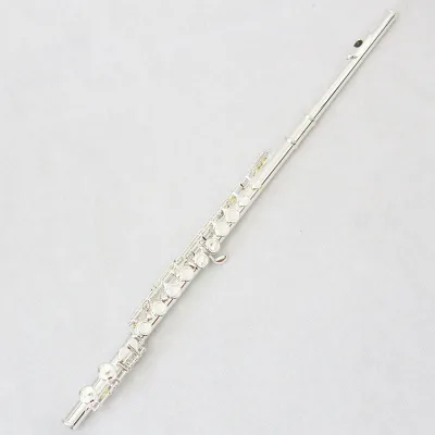 OEM 16 Closed Holes E Mechanism Flute Cupronickel Body Silver Plated Wholesale Price Sale With Accessories For Beginner