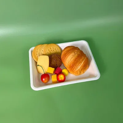 Eco friendly bagasse food rectangle plate degradable sugarcane party paper pulp disposable 8X6 bagasse plate