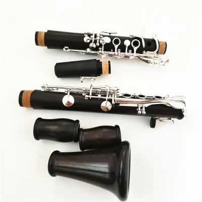 Ebony Wood Material Bb Clarinet with Different Dimension Barrels Professional Clarinet