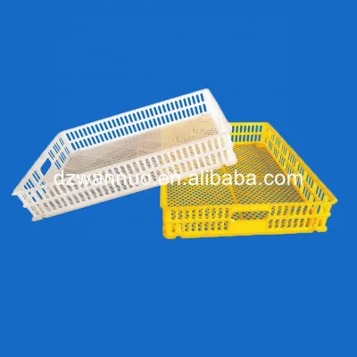 2019 Best Selling Hatching Baskets Industrial Egg Incubator Hatcher Box With Great Quality