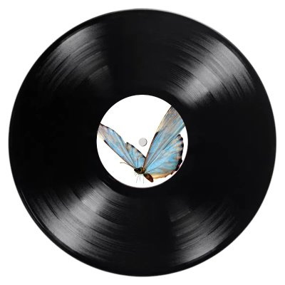 Quality Assurance Wholesale Music Lp Black Vinyl Record Album Limited Edition