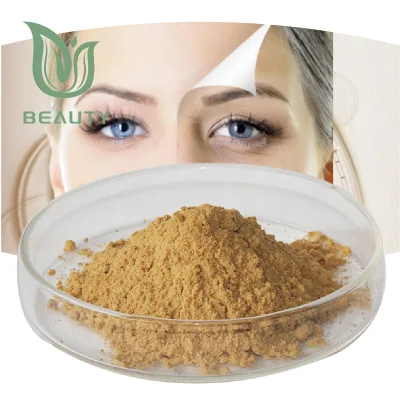 High Quality Astragalus Extract Astragaloside IV CAS 84687-43-4