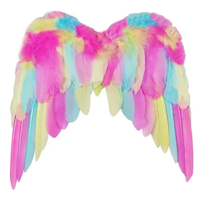 Haiwin Party Children's Angel Wings Costume Feather Rainbow Angel Wings for Girls