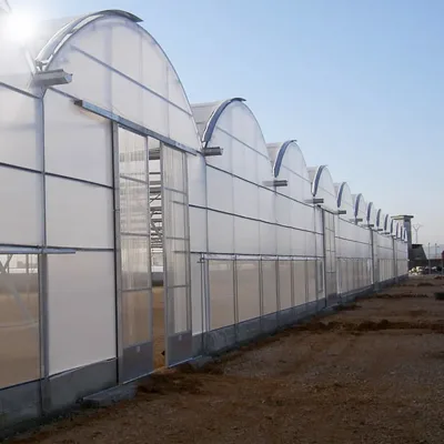 Leading Technology Large Galvanized Steel Frame Truss Agricultural Greenhouse with Factory Price