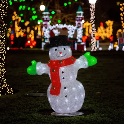 Professional Factory's IP65 Rated 3D Animated Snowman LED Light for Outdoor Halloween & Christmas Decorations 220v Voltage