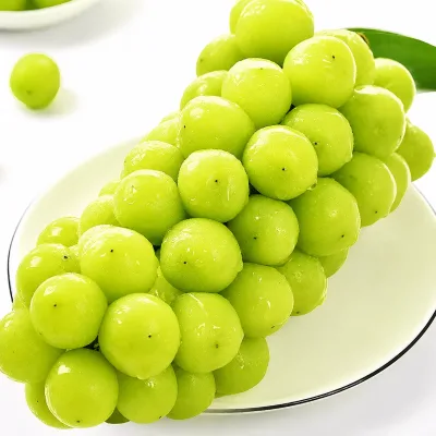New Crop Shine Muscat Seedless Grape Crispy Flesh Premium Quality Sunshine Rose Grape for Supermarket