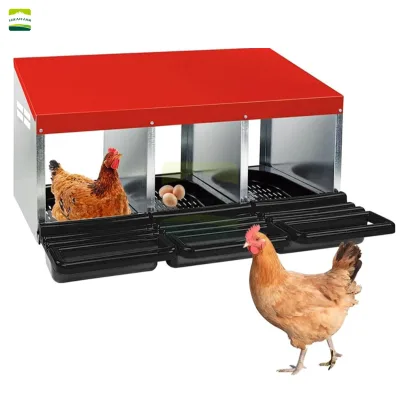 Roll Away Chicken Nesting Box Galvanized Steel 0.6mm Egg Collection Anti Pecking Poultry Coop