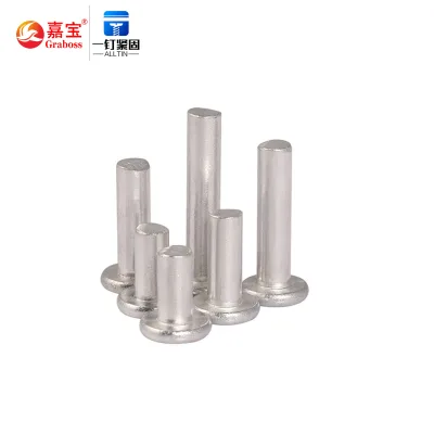 Screws Manufacturer Aluminum Stainless Steel Flat Thin Head Iron Rivet Solid Rivet Kit for Brake Flat Head Rivet