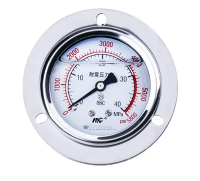 Mechanical Dual-scale Pressure Gauge YN60z Flange-mounted Vacuum Gauge Stainless Steel Strap Bracket