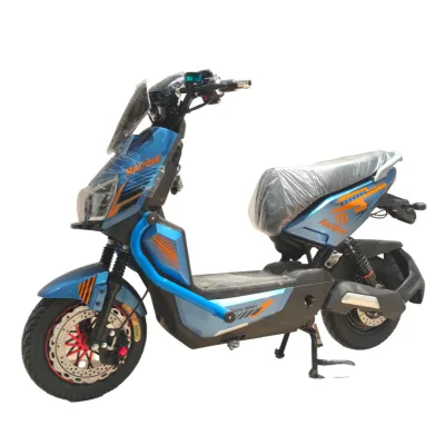 Adult Electric Off-Road Motorcycle 1200W Motor 60V/72V 20Ah Lead-acid Battery Disc Brake LED Light >50km Range 40-60km/h Max