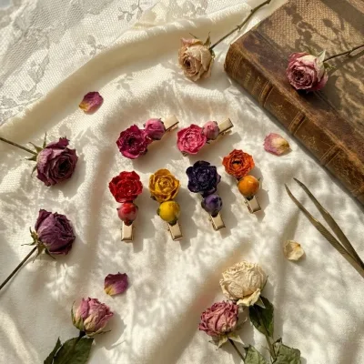 Handmade Preserved Real Rose Flower Hair Clips for Women, Natural Dried Rosebud Hair Barrettes,Resin Floral Hair Accessories