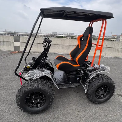 6000W Electric Quad Mobility Scooter with Canopy Roof All Terrain Outdoor Adventure Scooter