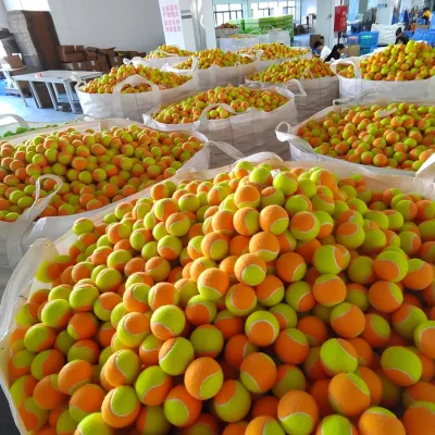 2025 Stage 2 High Quality Training Tournament ITF Approved Customize Beach Tennis Balls
