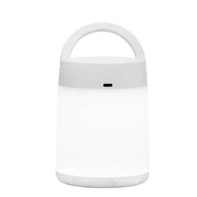 Portable USB Rechargeable LED Table Lamp for Bedroom &   Light Touch Control Design