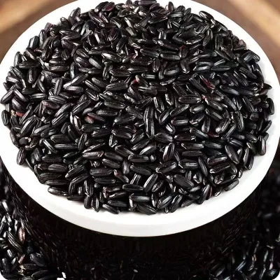 Wholesale High Quality Chinese Nutorious Black Rice for Export