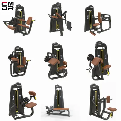 Lower Back Machine Hyper Extension Hyperextension Commercial Gym Equipment Seated Back Extension Machine