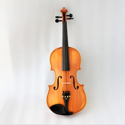 High Quality 4-String Viola Set with Exquisite Spruce-Faced Maple-Sided Case Excellent Wholesale Price
