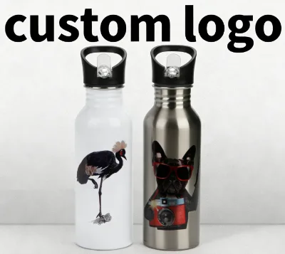 Custom Art 600ML Thermal Transfer Printed Aluminum l Drinkware Silver Metal Blank Coating for Other Water Bottle