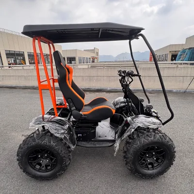 Off Road Mobility Scooter Adults 6000W Electric Scooter Wide Design with 80Ah Lithium Battery