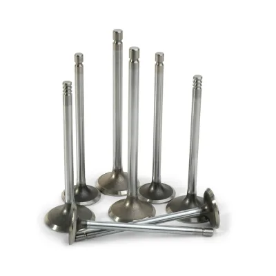 Factory High Quality Brand New Metal Automobile Engine Parts Intake Exhaust Valves 11347583777 11347598273 for /Logo 6 Months