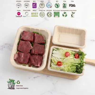 Disposable Rectangle Sugarcane Bagasse Pulp Custom Biodegradable Paper Serving Meat Mushroom Food Tray