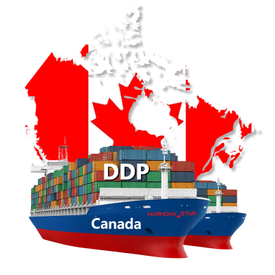 Professional Freight Forwarder From China to Canada | Fast Shipping by Air and Sea | Trusted Logistics Partner