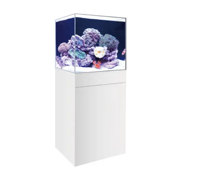 China Supplier Customized Fish Acrylic Aquarium Large Marine Aquarium Fish Tanks with Cabinet.