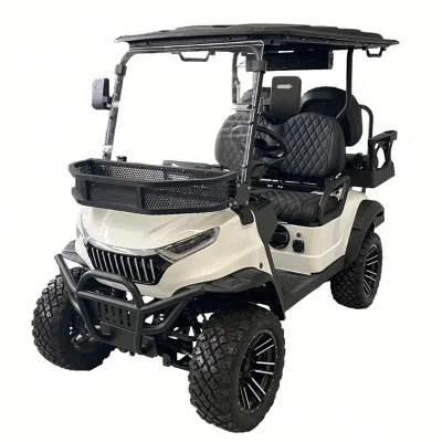 2025 New Design Wholesale Parison 2 Seats 4 Wheel Golf Cart Off-Road Hunting Steel 48V 2025SDZX12PTPR158