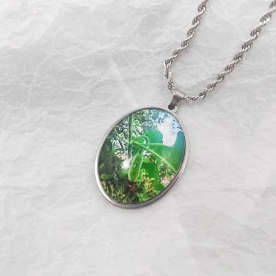 Vegetable Photo Pendant Necklace Customized Stainless Steel Necklace Jewelry No Fade Jewelry