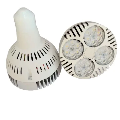 Good Quality Indoor Lamp 35 Watt E27 Par30 Led Bulb