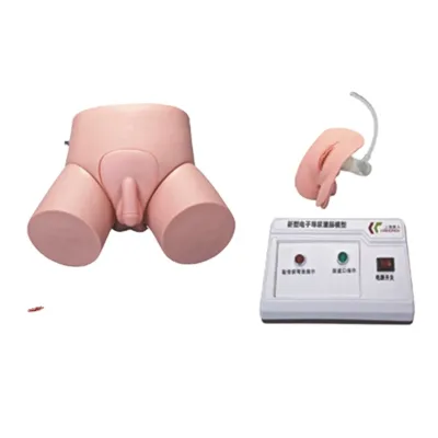 Electronic Urethral Catheterization and Enema nurse medical Model