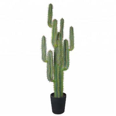 Factory Direct Sale 147cm Golden Barrel Cactus Giant Plastic Cactus Large Cactus