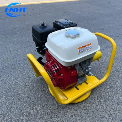 China Small External Engine-Powered High Efficiency Concrete Vibration Leveler Road Leveler for Sale