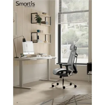 Ergonomic Office Chair with 4 Way Armrests Lumbar Support and Adjustable Headrest High Back with Tilt Function (Black)