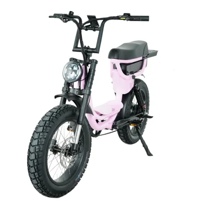 EN UL Certificates Electric Bicycles Retro Style 250w 20ah 25ah Long Range Step Through E-bike