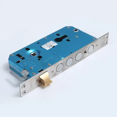 Polished Stainless Steel Overlord Entry Door Lock Body with Fingerprint Anti-Theft Anti-Stuck Smart Lock Key Unlock Way