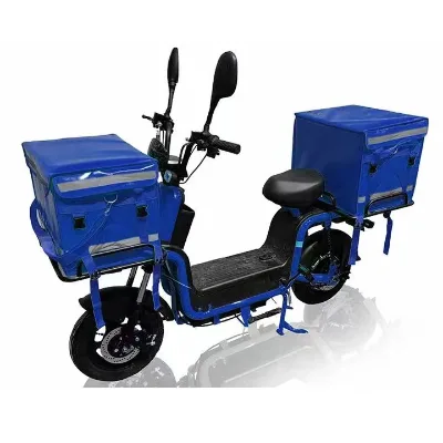2025 China Factory Wholesale 800W 60v Solar-Powered Cargo Delivery road bike Steel Frame Down Tube Battery for Food