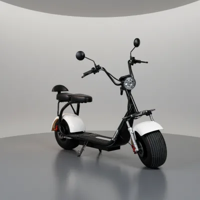 2000W Electric Citycoco Scooter with Aluminum Wheels Two Seats Golf Stand Fat Tire