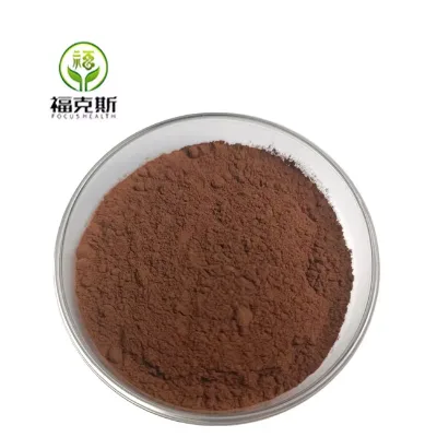 High Quality Shiitake Mushroom Extract Powder Shiitake Mushroom Extract Shiitake Extract