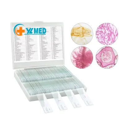 Prepared Microscopic Slide Blood Slide Anemia Smear