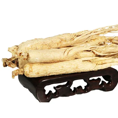 Factory price raw  panax importers ginseng wholesale white ginseng