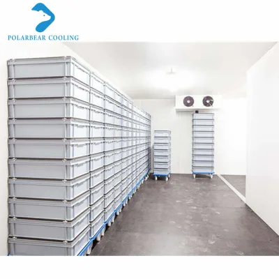 Efficient Mushroom Grow Room Cold Storage Cold Room Panel Cold Chamber for Vegetable,Fruit