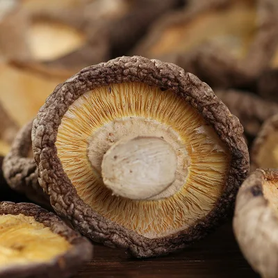 High Quality Dried Shiitake Mushrooms Wholesale Mushrooms for Cooking