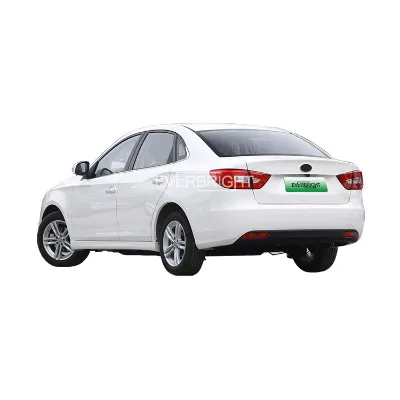 Hot Sale City Use Fashionable Low Speed Solar for Adult Used Auto Electric Car