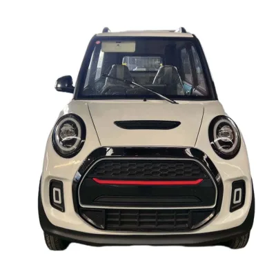 China-Made Adult Electric Four-Wheeled Vehicle Small Electric Car with Four-Wheel Disc Brake