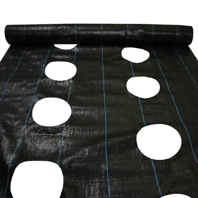 PP Weed Mat PP Woven Fabric Landscape Rolls With Planting Holes Gardening Ground Cover