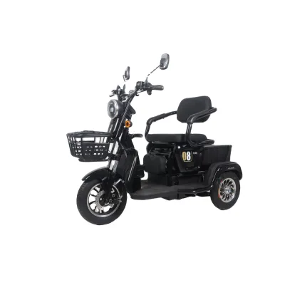 High Speed Other Scooters Motorized Tricycles Mobile Scooter 3 Wheels Electric Bike for Adults Electric Tricycles New Star 2023